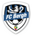 FC Bergh VR